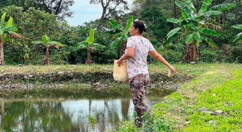En Norte de Santander se han producido siete toneladas de pescado./ Foto Cortesía