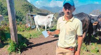 Los productores de Norte de Santander deben proteger 187.617 en 16.633 fincas. / Foto Cortesía