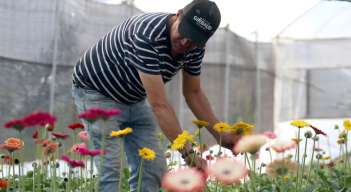 Chitagá ‘florece’ entre la papa y el durazno