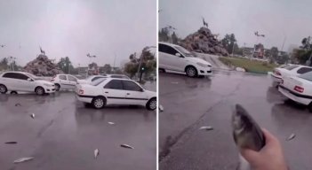 lluvia de peces