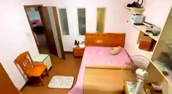 Un perro apagó la luz y se acostó a dormir