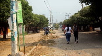 El cono lumínico esta obstruido por la falta de poda de árboles./ Foto: Carlos Ramírez/ La Opinión