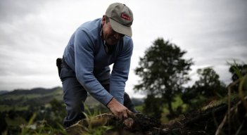CORTE ORDENÓ REINTEGRACIÓN DE ORGANIZACIÓN CAMPESINA A PROGRAMA EN CÚCUTA. / Foto: Colprensa 