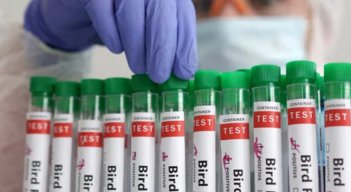 Se registró el primer caso de gripe aviar
