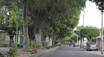 Piden rescate de la Avenida de Los Faroles.