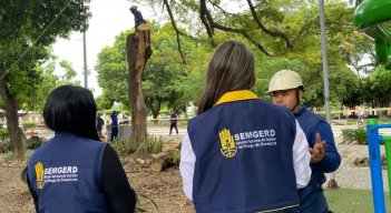Ya han evaluado y atendido múltiples casos de árboles en riesgo, identificando ejemplares inertes y aquellos con daños mecánicos severos./ Fotos: Cortesía / La Opinión 