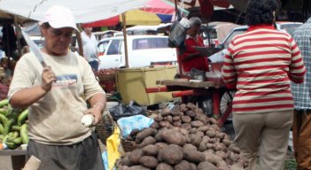 Las papas aportaron al IPC de la ciudad con un 0,15 puntos porcentuales. / Foto Archivo La Opinión
