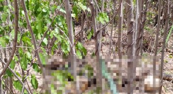 Los restos óseos que encontraron en el Anillo Vial Occidental serían de una mujer