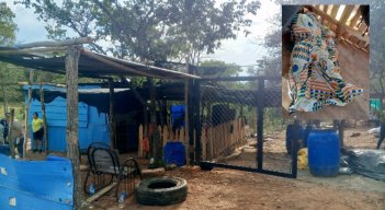 Asesinato en Los Peracos 