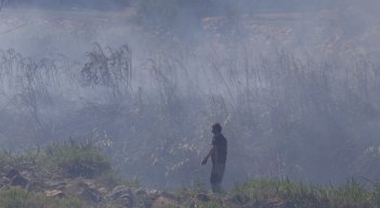 Incendio forestal