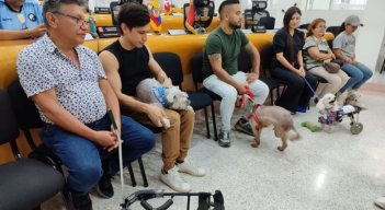 Mascotas discapacitadas tendrán trato especial./Foto cortesía