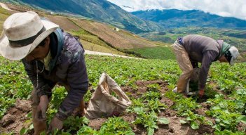 Agricultura, el sector mas afectado por los recortes del PNG 2025./ Foto Archivo