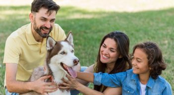 Los animales de compañía tienen un vínculo especial con los seres humanos,  debido a esa condición analizan si tienen derecho a formar parte de la familia. 
