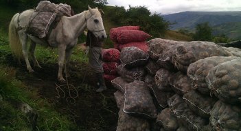 El paro del transporte de carga tiene preocupados a alcaldes de municpios agrícolas./ Foto Archivo
