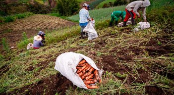 Campesinos. / Foto: Cortesía