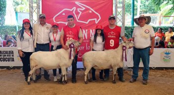 Este año, Norte de Santander es sede la Feria Nacional Ovina y Caprina, un evento gratuito para la familia./ Foto Cortesía