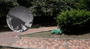 ¿Secuestrado y asesinado? Hallan cadáver de un hombre en la Avenida del Río