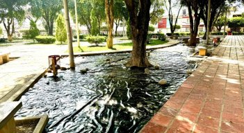 Buscan no solo embellecer los espacios públicos, sino también fortalecer el tejido social y promover la interacción ciudadana en ambientes renovados y seguros. / Foto: Cortesía / La Opinión 