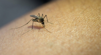  Al cierre de 2024 Cúcuta reportó 3.892 casos de dengue. 