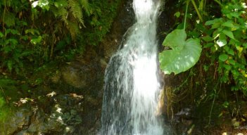 Hoy se celebra el Día Mundial del Agua./Foto Archivo