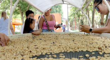 Escasez de mano de obra, un dolor de  cabeza para los productores de café.
