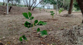 Sembraton-Parque Playa