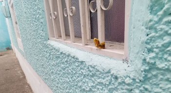 Pistolero-Ventana