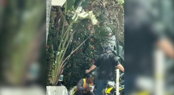 XENOFOBIA EEUU