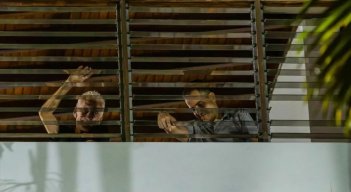 Liberados. 