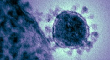 Coronavirus