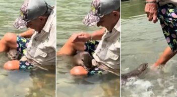 Video-viral-nutria