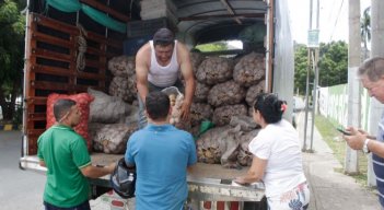 Papatón en Pinar del Río.