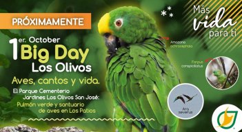 Parque Cementerio Jardines Los Olivos San José: pulmón verde y santuario de aves en Los Patios