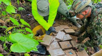 Más de 660 kilogramos de la sustancia ilícita, prensada en bloques y oculta en caletas/Foto cortesía
