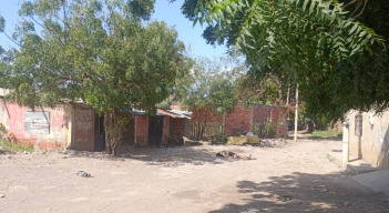 Encuentran múltiples cadáveres 