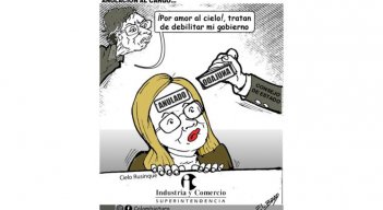Anulación al cargo
