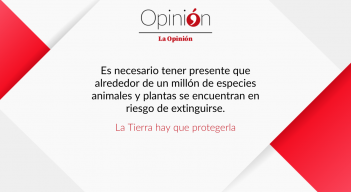 Plantilla Editorial nuevo redes.psd (74).png