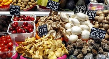 EXPORTACION DE ALIMENTOS 