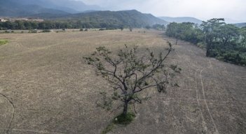 Fenomeno El Niño