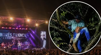 De no creer: hombre se quedó dormido en un árbol durante un concierto
