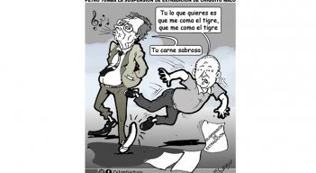Chiquito malo