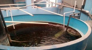 El intenso verano afecta duramente el corregimiento de Aguas Claras de Ocaña.