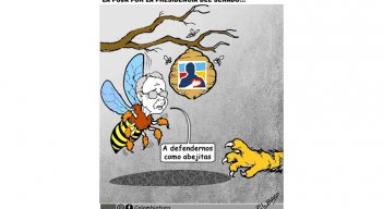 La puja por la presidencia del Senado