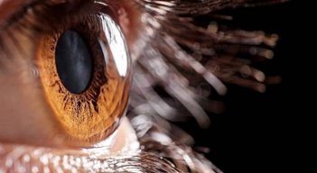 Vision