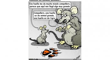 Huellas de animal grande