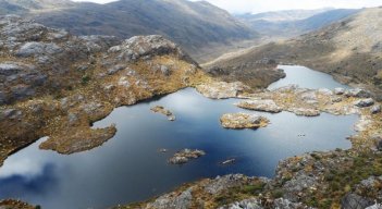 Delimitar el ecosistema por etapas y la creación de nuevas áreas de reserva forestal.
