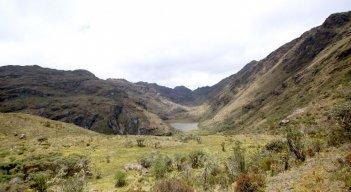 Páramo de Santurbán - Carlos Ramírez.