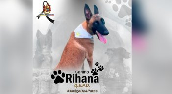 Rihana