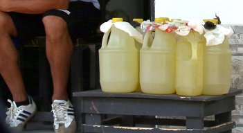 Pimpineros. / Foto Carlos Ramirez-La Opinión