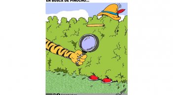 En busca de pinocho...